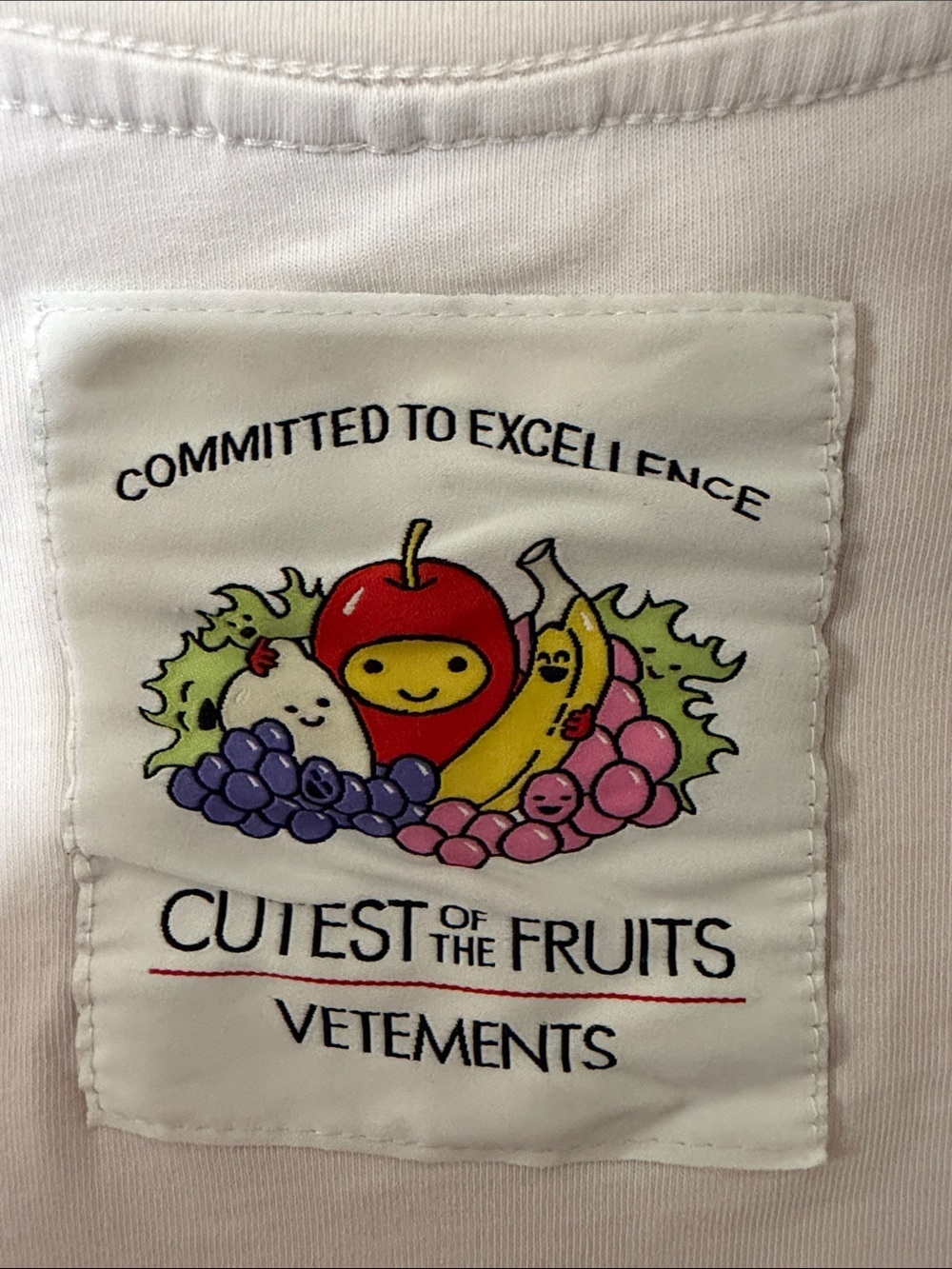 Authentic VETEMENTS "Committed to Excellence" Cutest of the Fruits Crop Top O/S - Picture 5 of 9